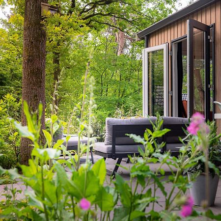 Lodge Goudvink Nunspeet Veluwe Exteriör bild