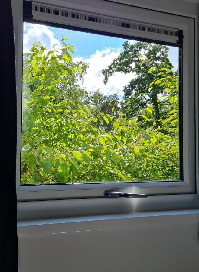Lodge Goudvink Nunspeet Veluwe Exteriör bild