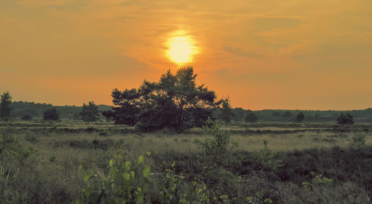 Lodge Goudvink Nunspeet Veluwe Exteriör bild