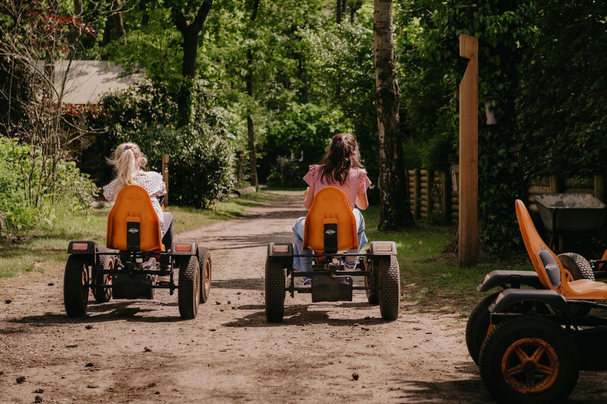 Lodge Goudvink Nunspeet Veluwe Exteriör bild