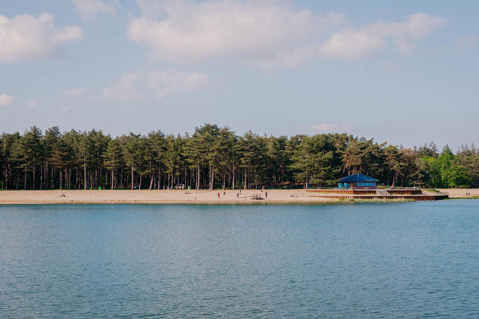 Lodge Goudvink Nunspeet Veluwe Exteriör bild
