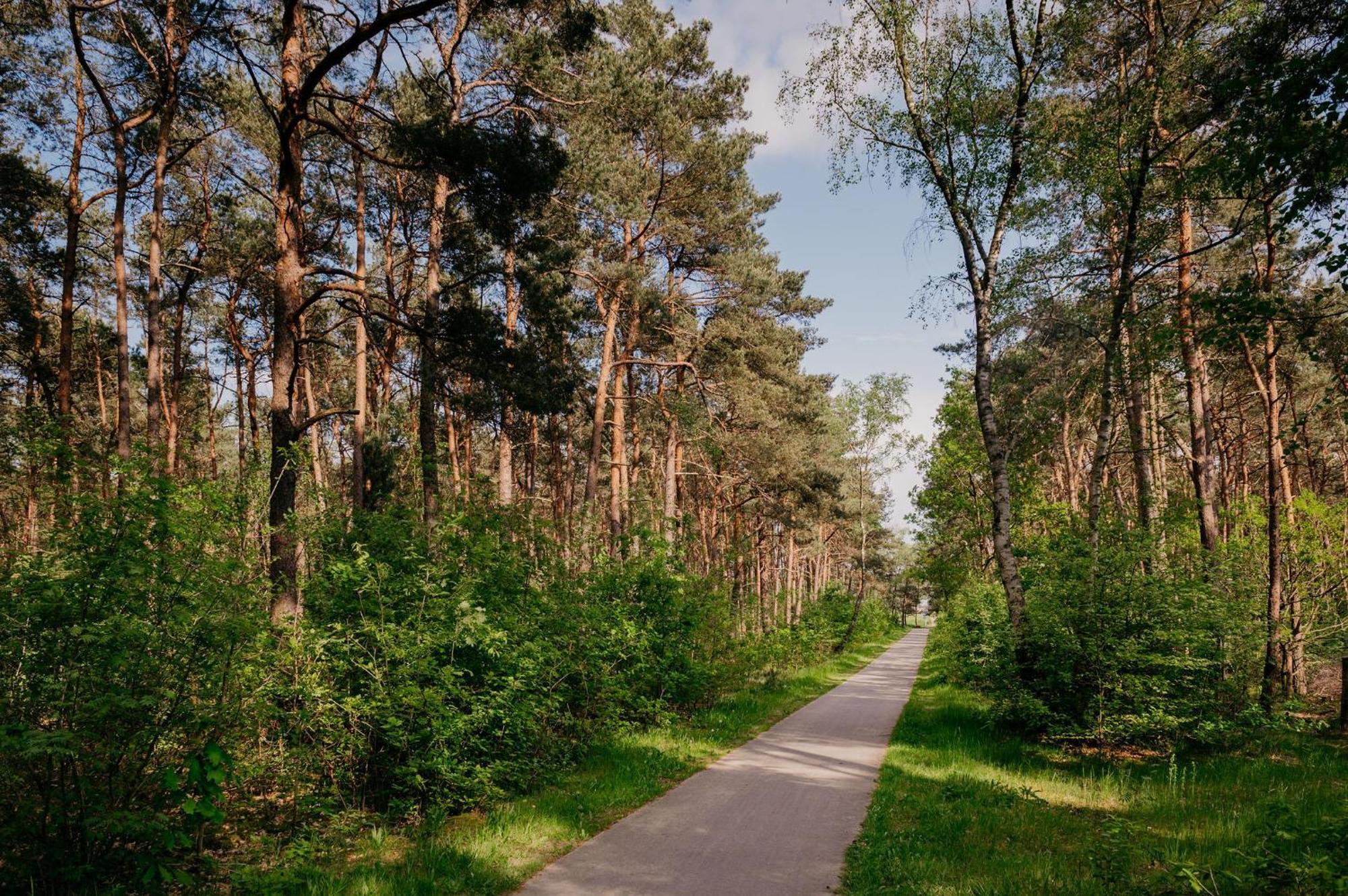 Lodge Goudvink Nunspeet Veluwe Exteriör bild
